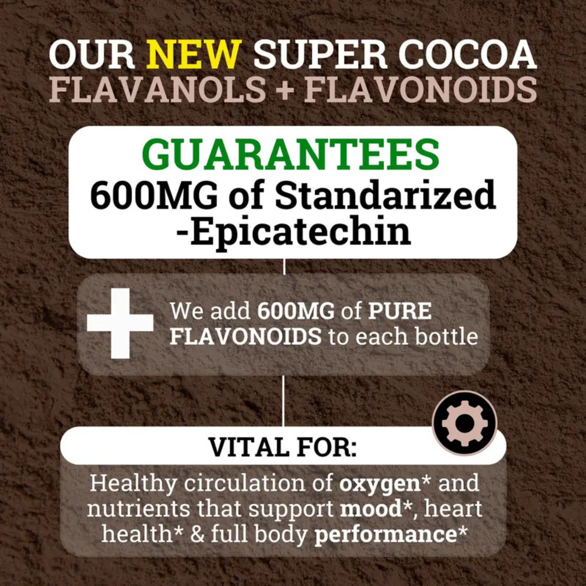 Florenix Cocoa Flavanols & Flavonoids Powder